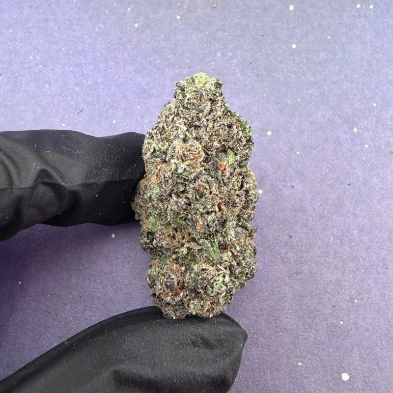B42 Candy Pop