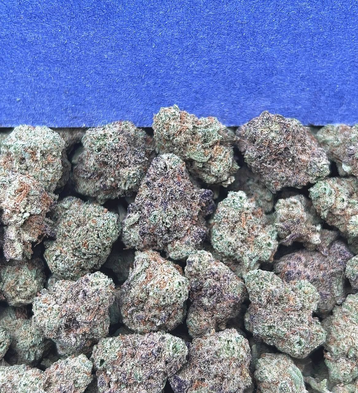 MAC SMALL