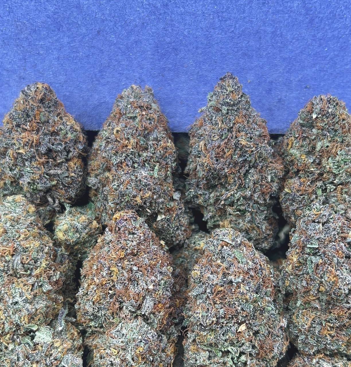 GAS CAKE