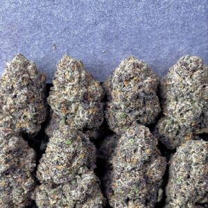 BLACK CHERRY GEALTO