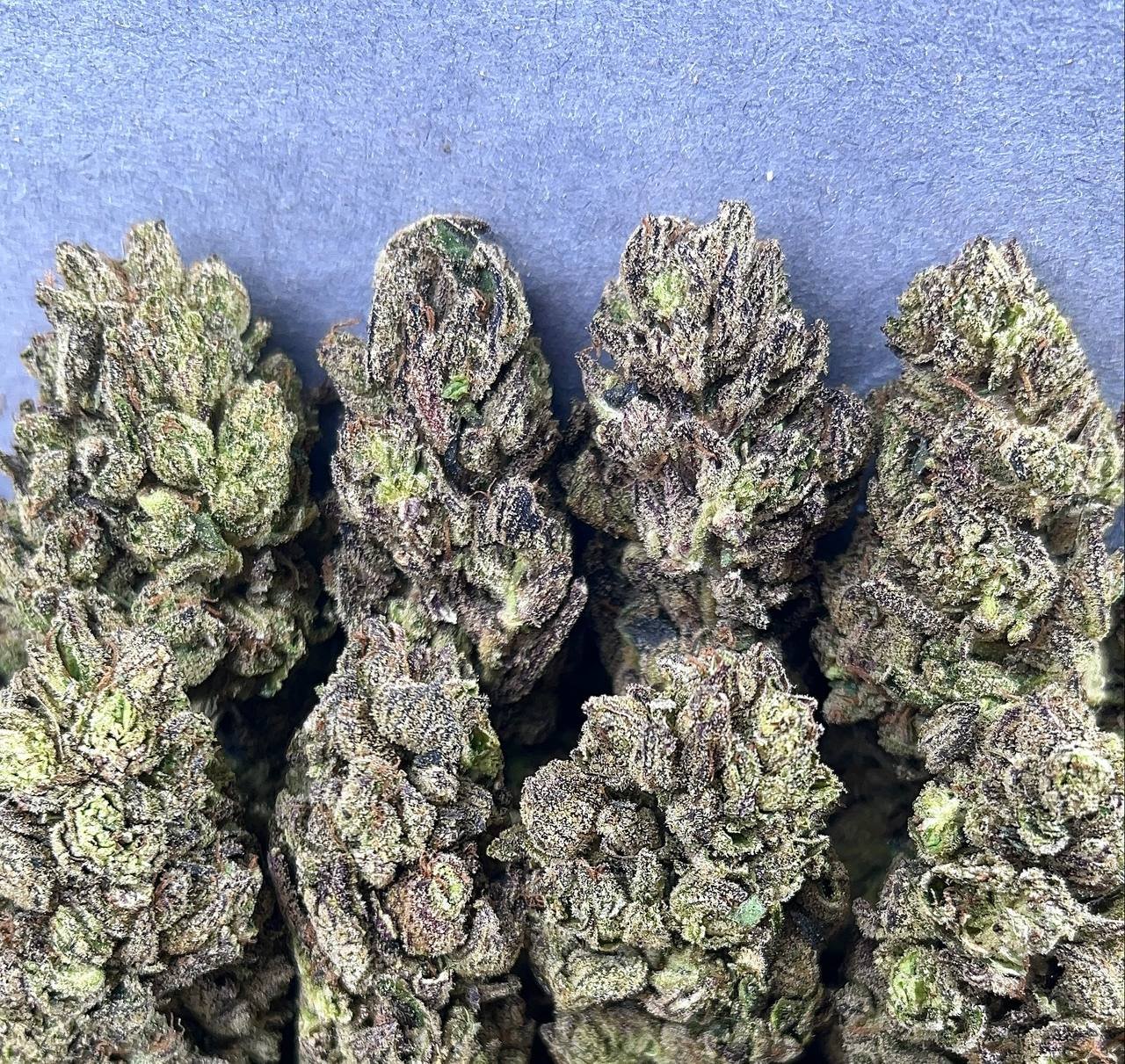 CANDY POPZ