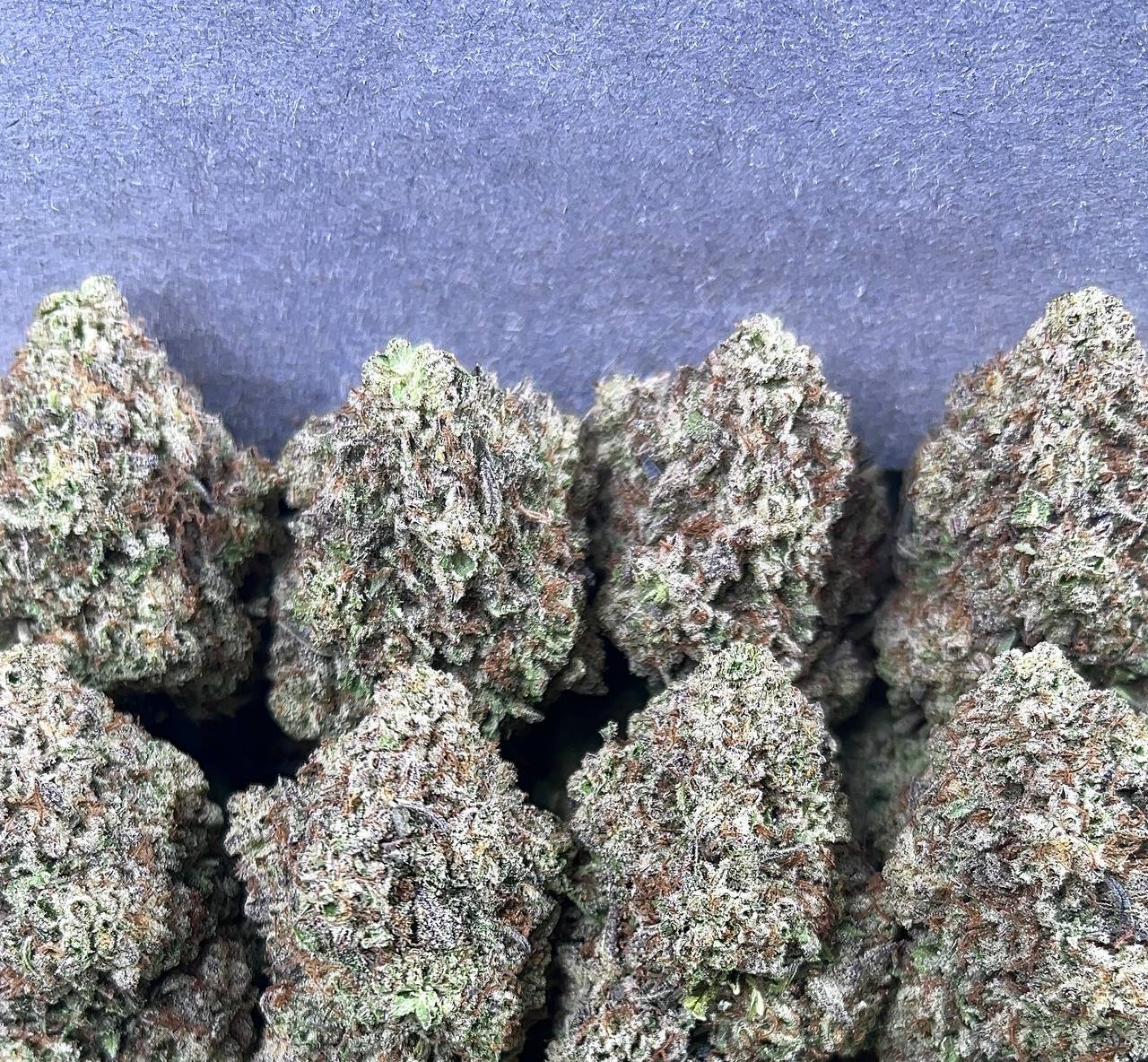 PINK TRUFFLE