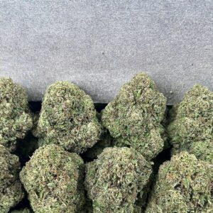 FROSTED GELATO