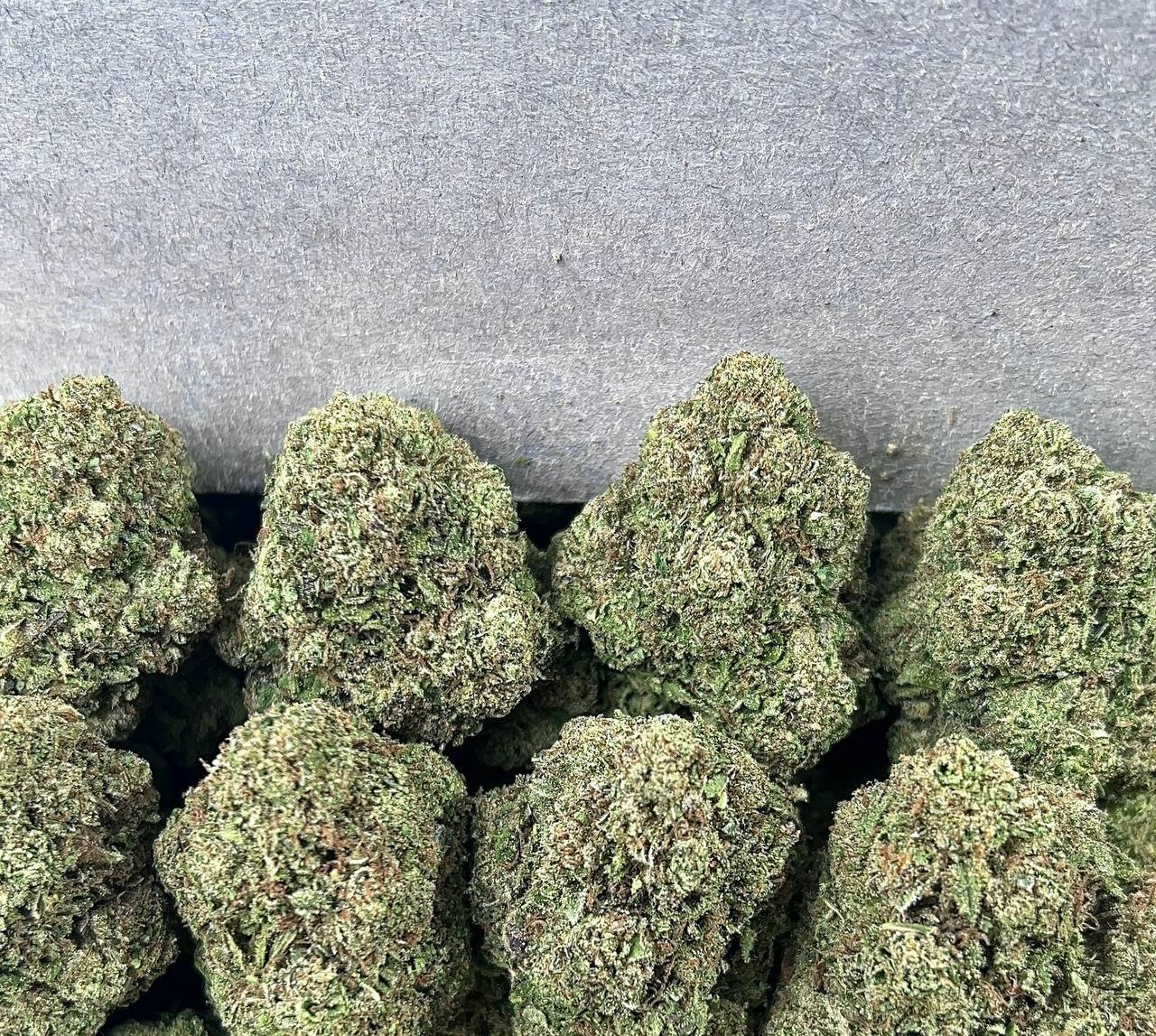 FROSTED GELATO