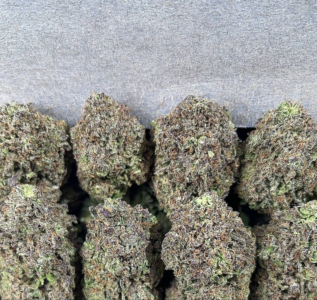 BLACK CHERRY