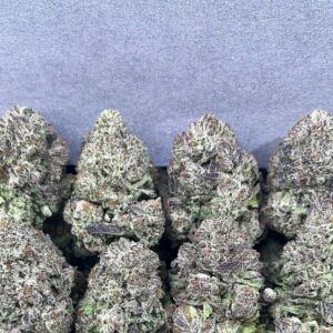 GELATO KING