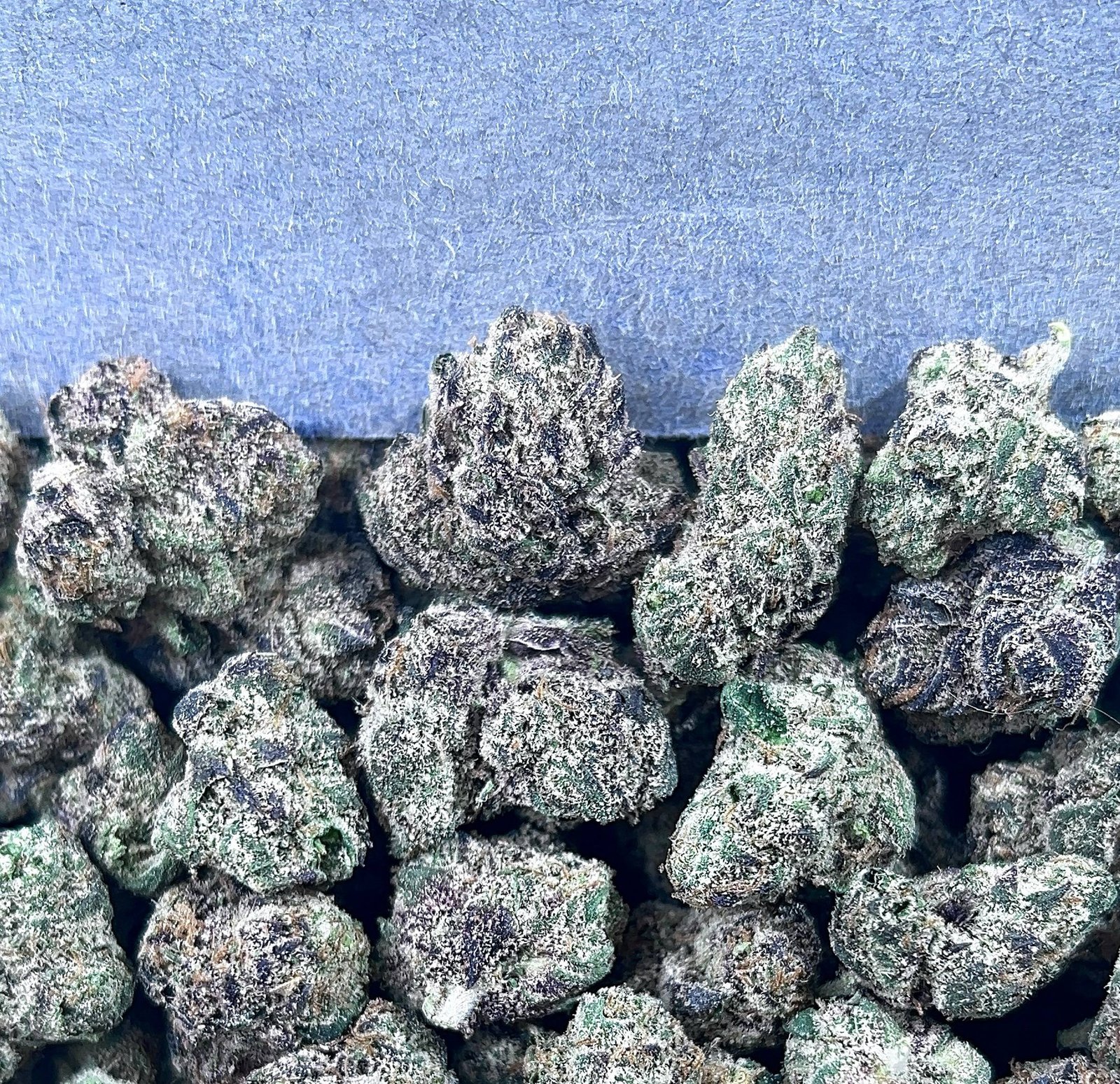 LCG MEDIUM