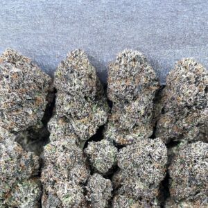 PAPAYA GROVE