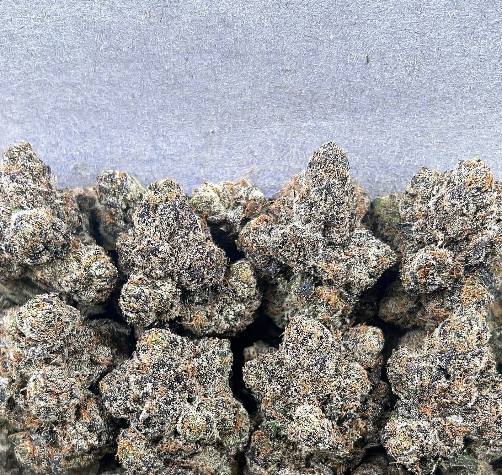 PLATINUM LCG