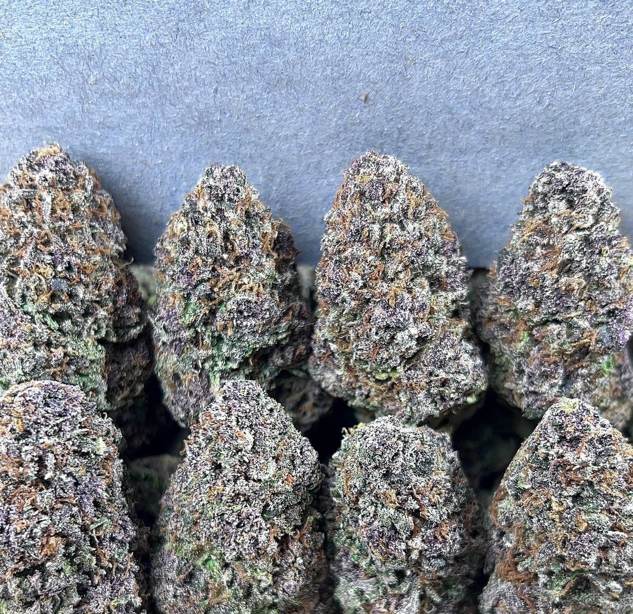 PURPLE KEROSENE