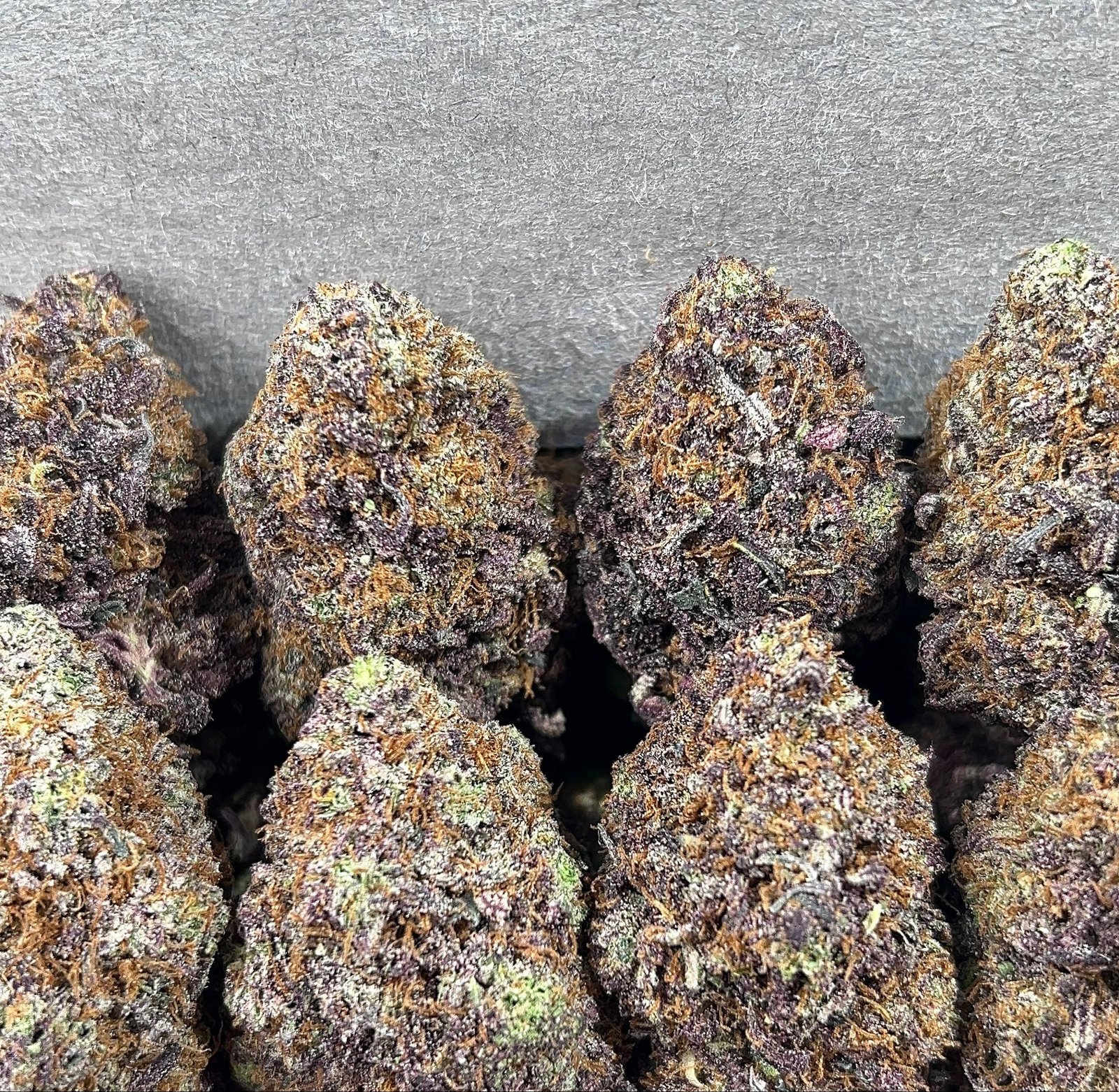 TROPICANA BANANA
