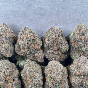 PURPLE CANDY NERDZ