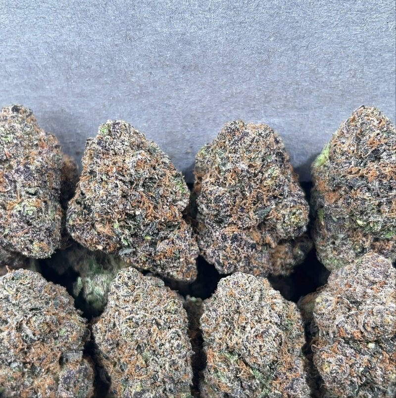 PURPLE CANDY NERDZ