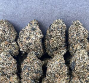 DIRTY SPRITE(MOLD)