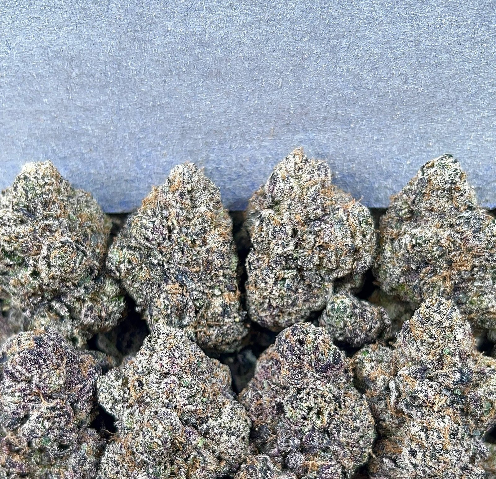 COTTON CANDY RUNTZ