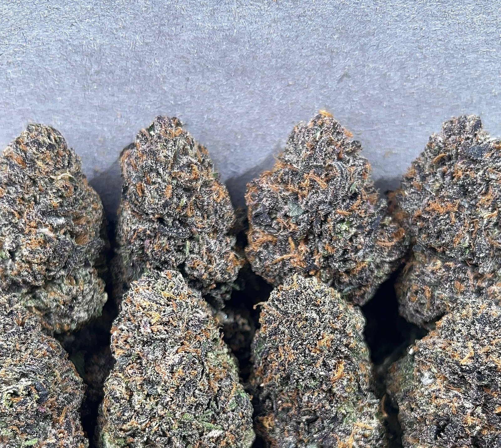 BLUE ZOAP