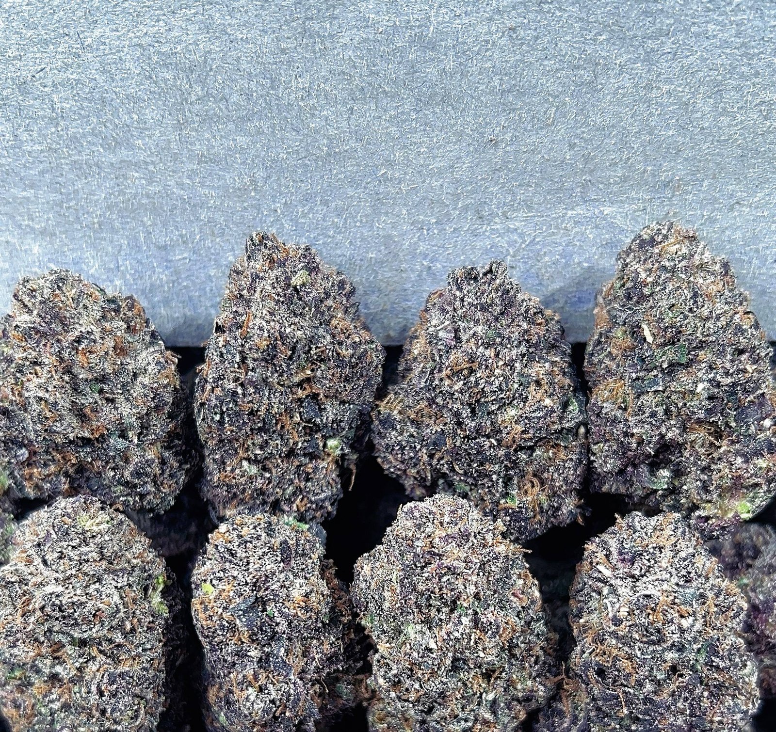 CANDY GRAPE