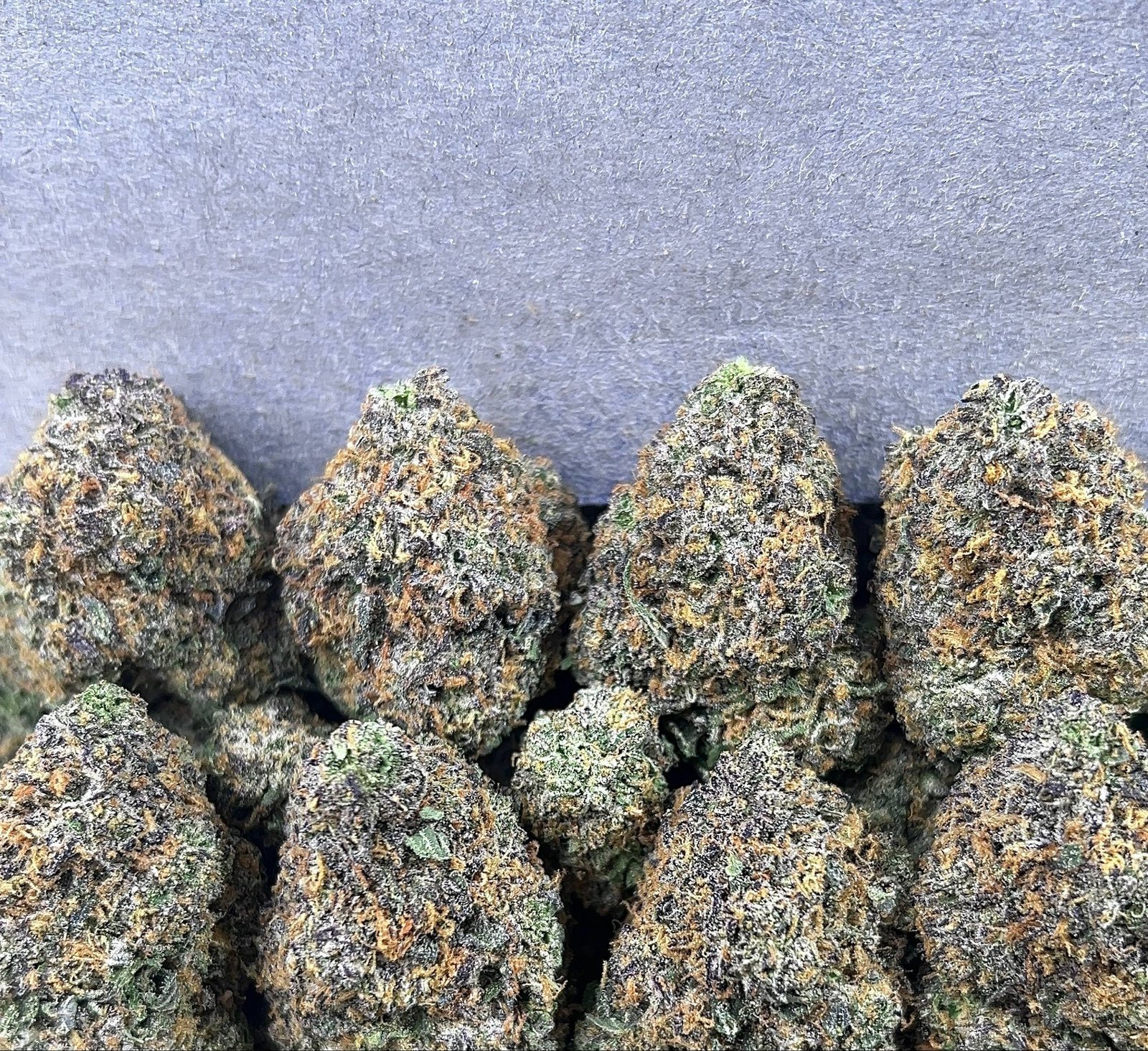 CHERRY GELATO MINTZ