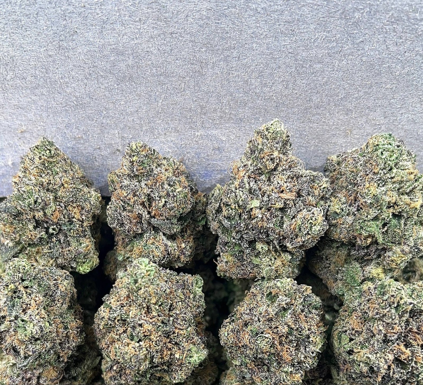 COTTON CANDY GELATO