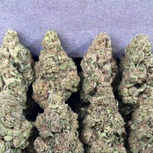 LCG(SLIGHTLY SEED)