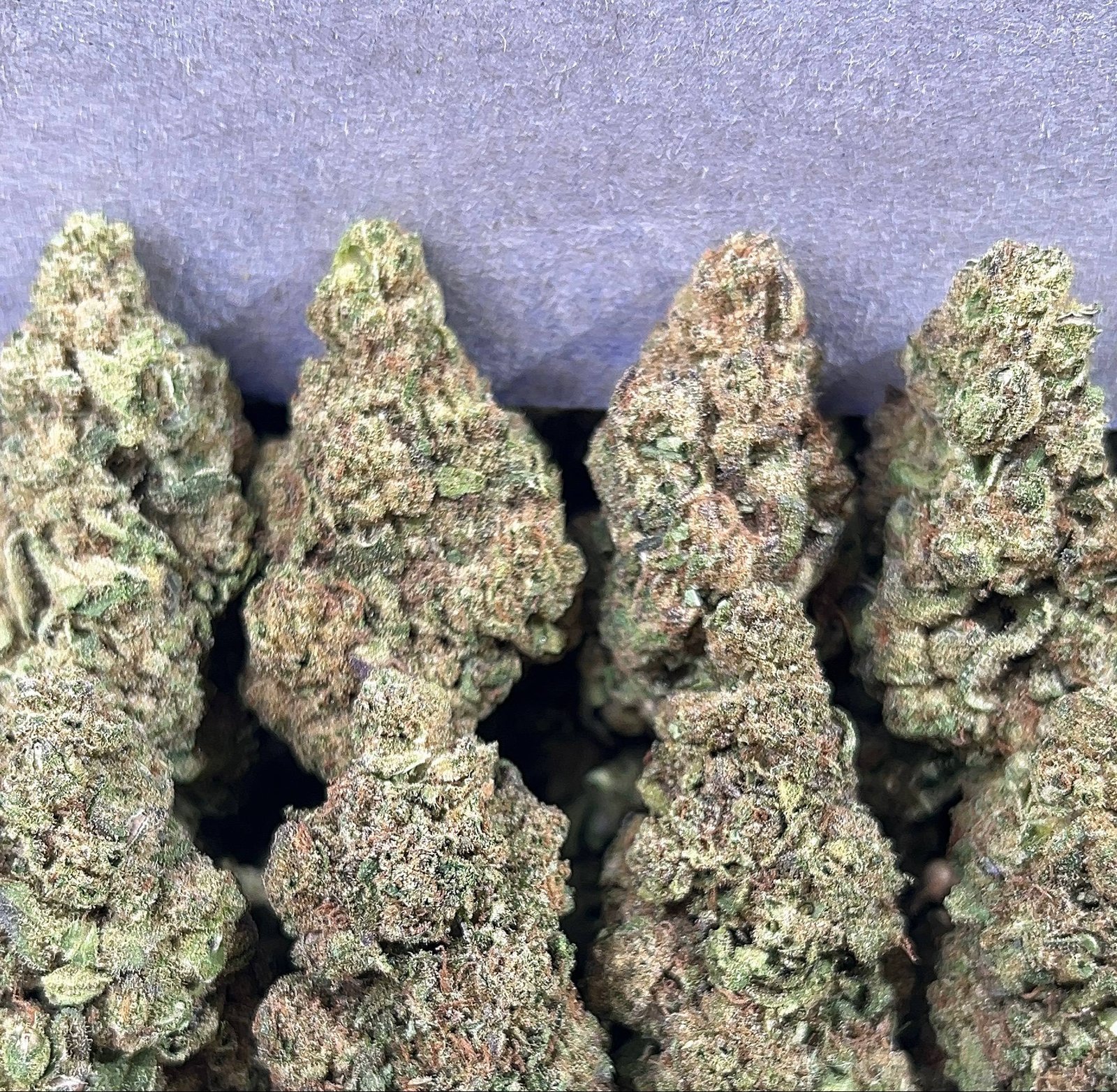 LCG(SLIGHTLY SEED)