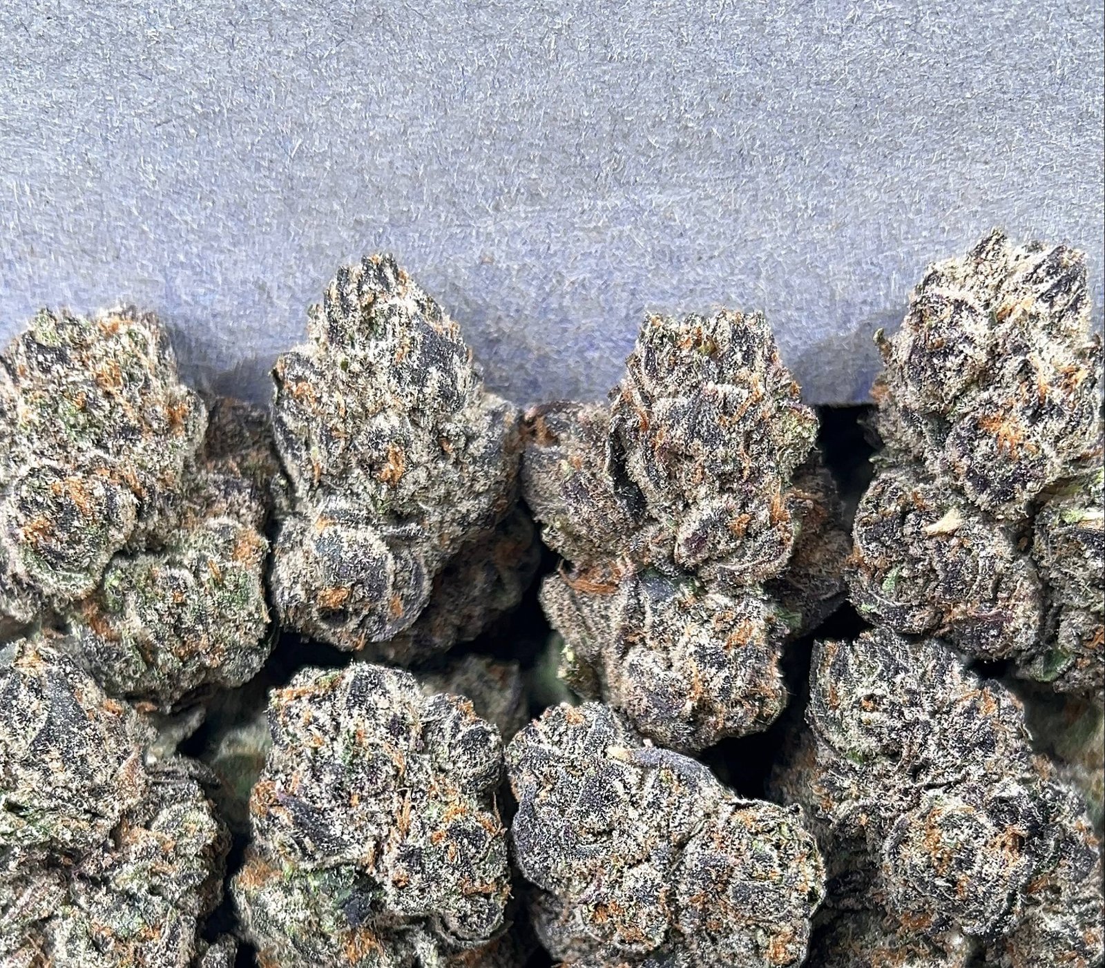 CANDY FUMES