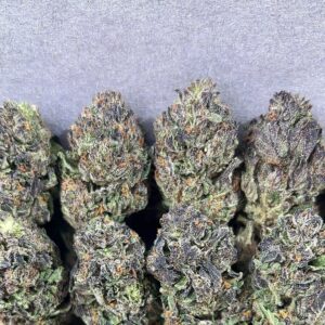 PURPLE RUNTZ